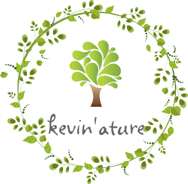 Kevin'ature