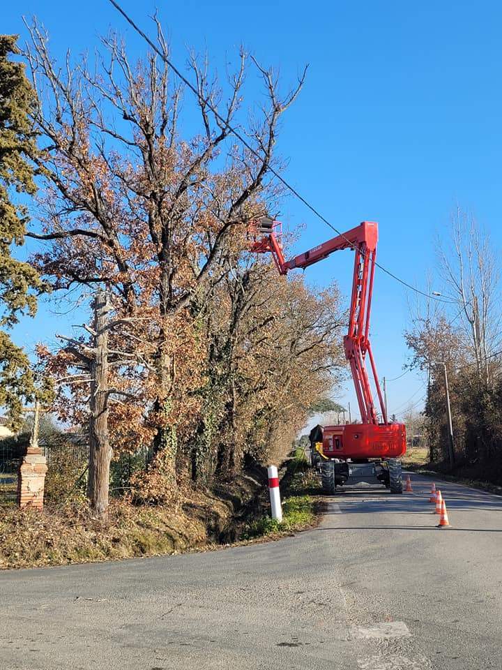 Abattage d’arbres Muret