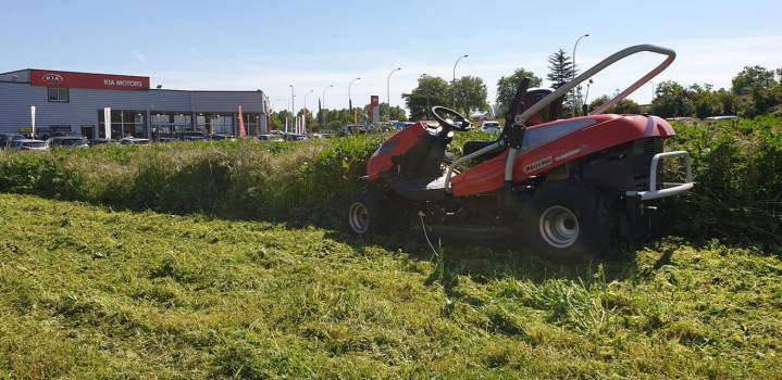 Débroussaillage Muret